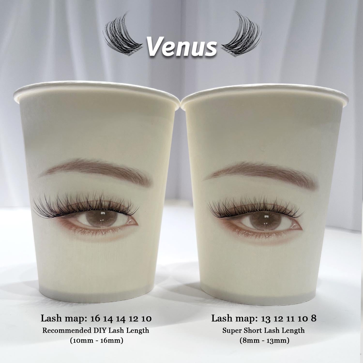Venus Lash Kit
