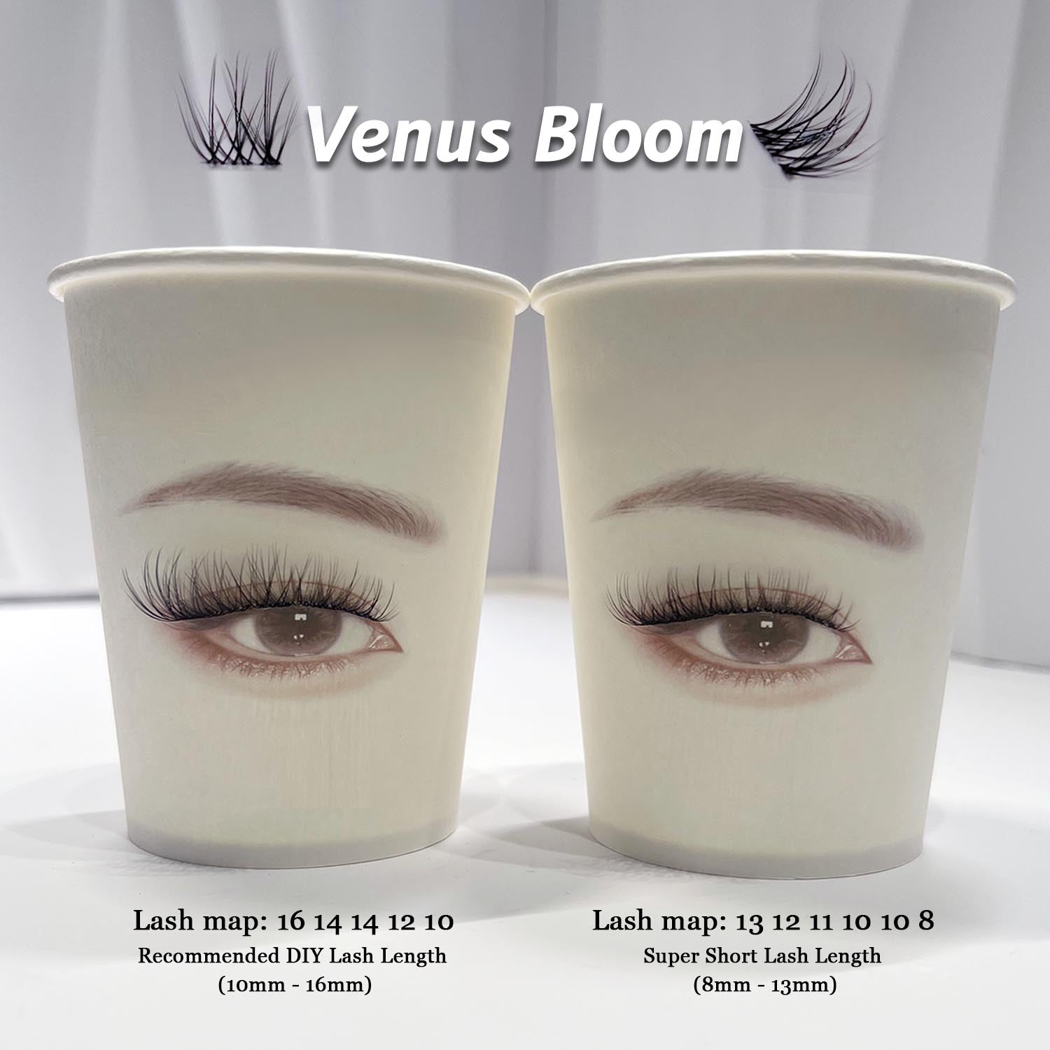 Venus Bloom Lash Kit