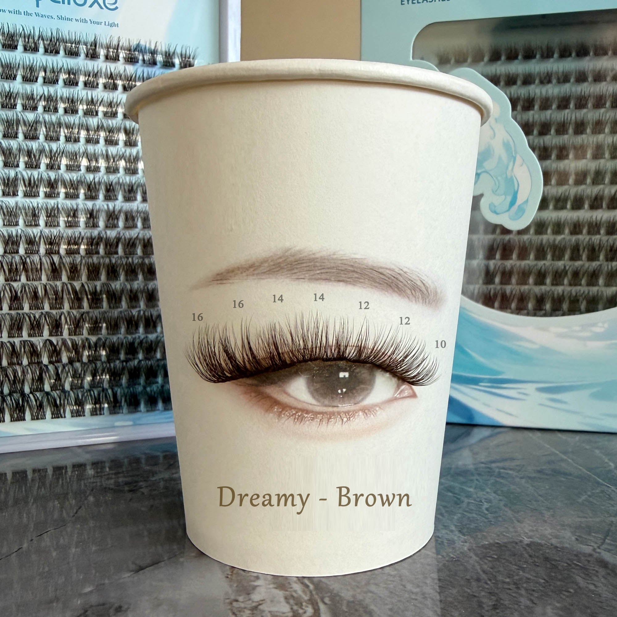 Dreamy Brown Lash Kit