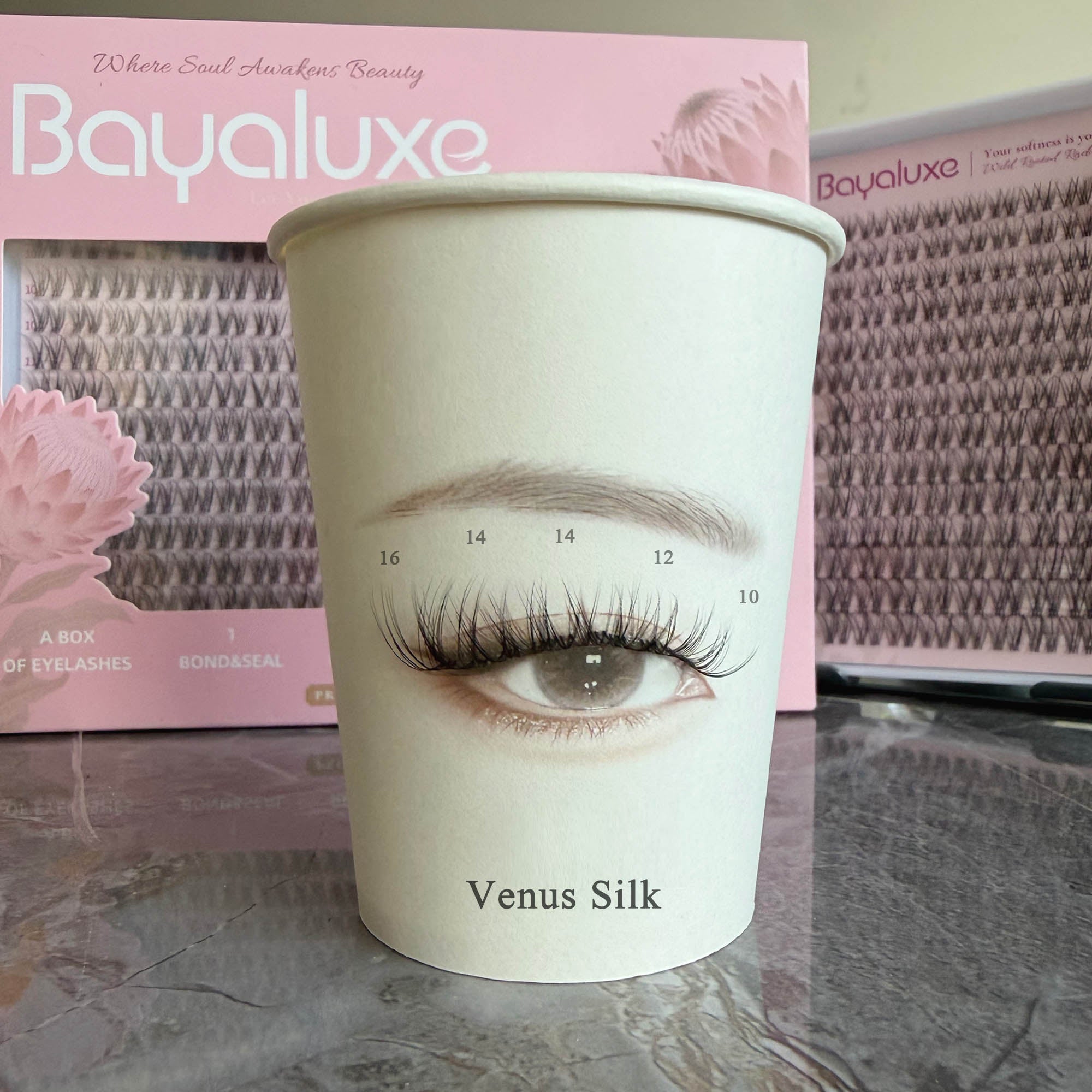 Venus Silk Lash Only
