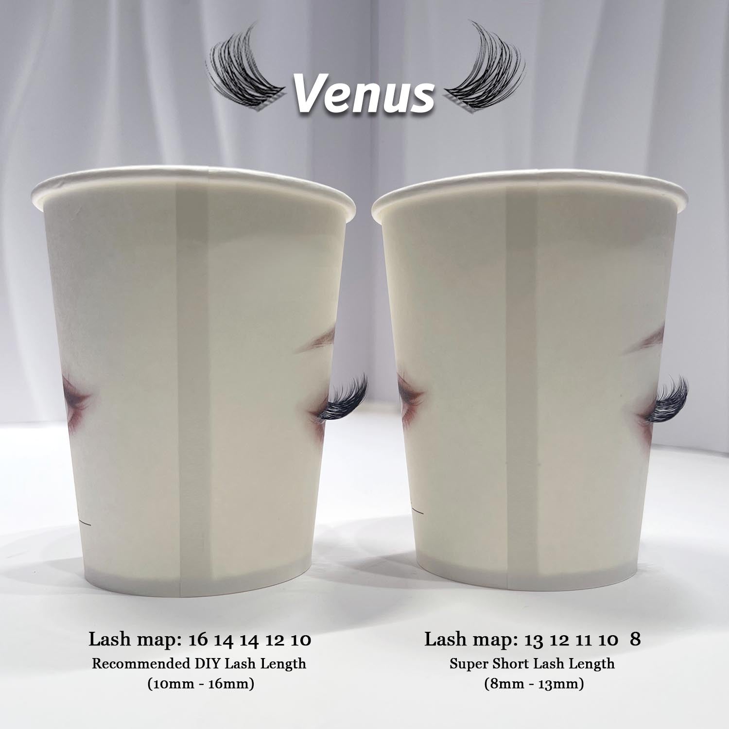 Venus Lash Kit