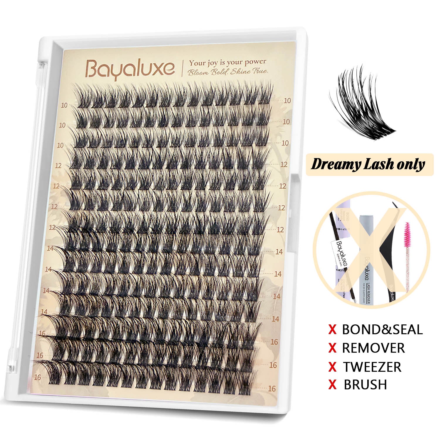Dreamy Lash Only
