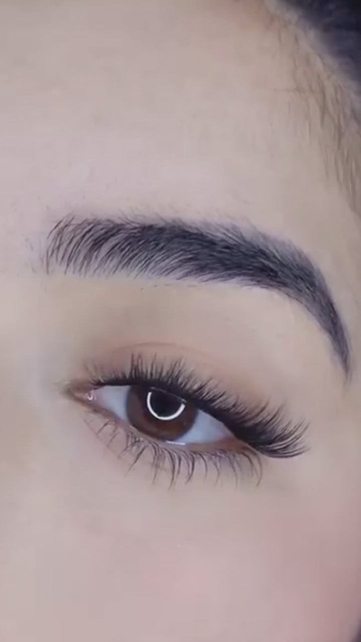 Dreamy Lash Only