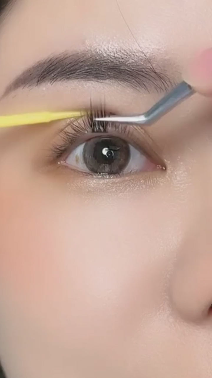 Dreamy Lash Only