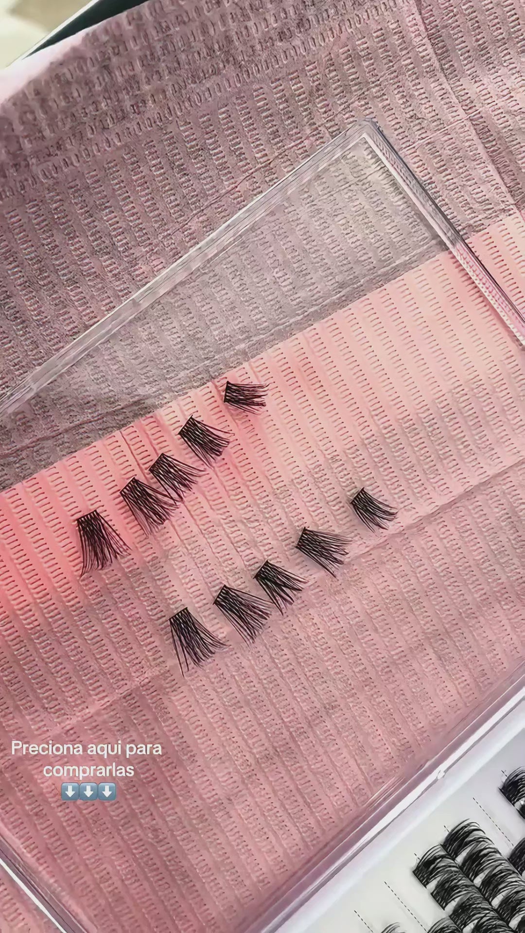 Dreamy Lash Only
