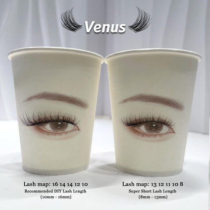 Venus Lash Kit