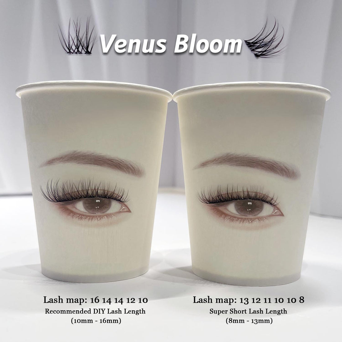 Venus Bloom Lash Kit