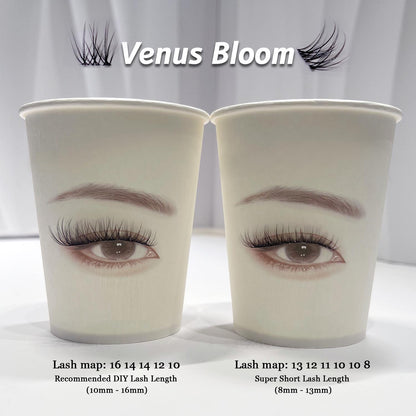 Venus Bloom Lash Kit