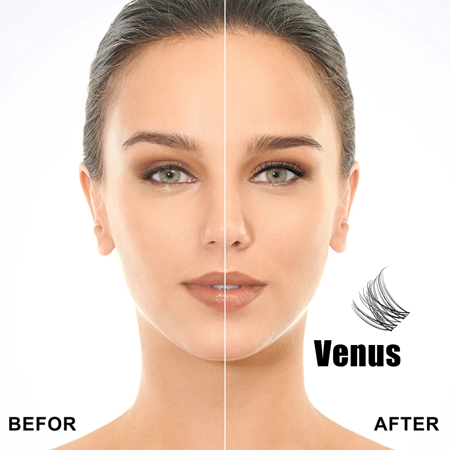 Venus Lash Kit