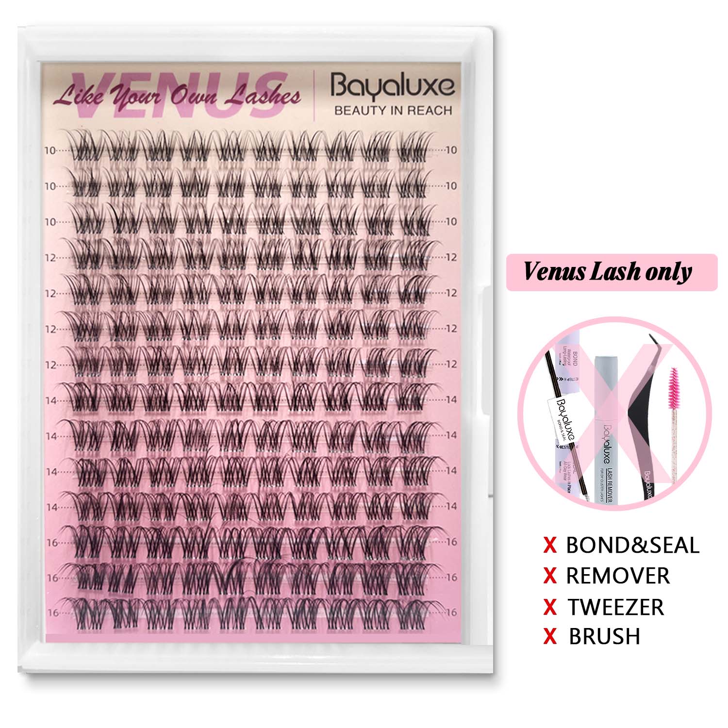 Venus Lash Only