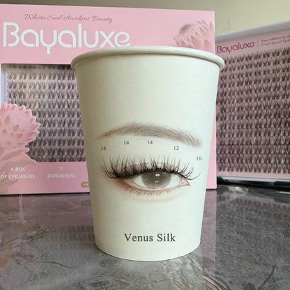Venus Silk Lash Only