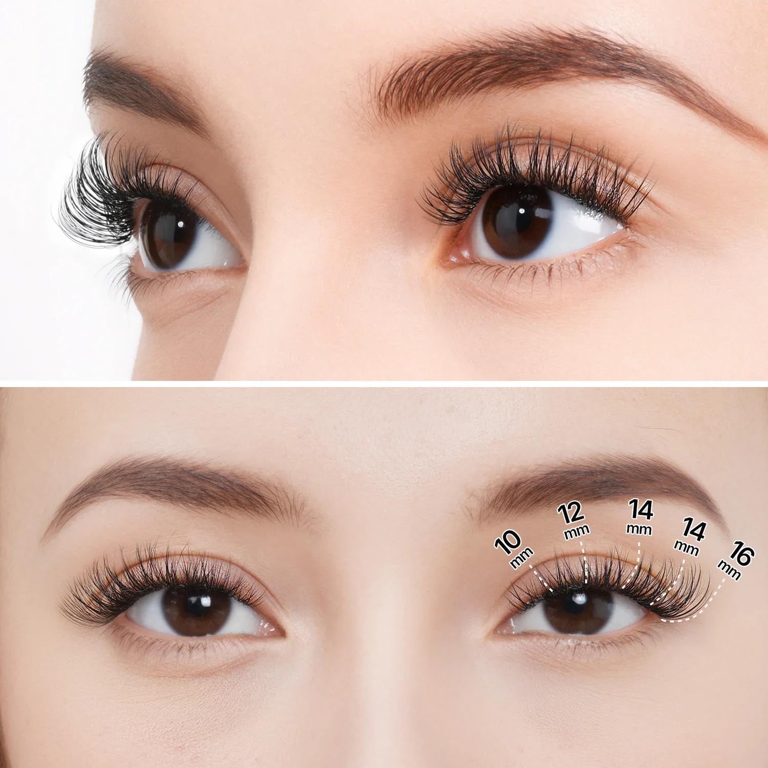 Venus Lash Kit