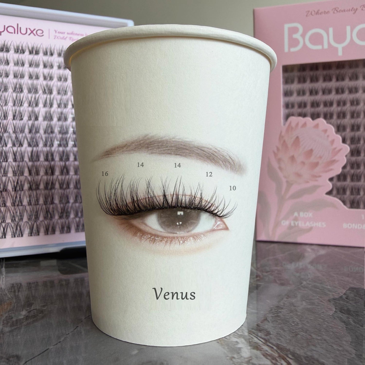 Venus Lash Only