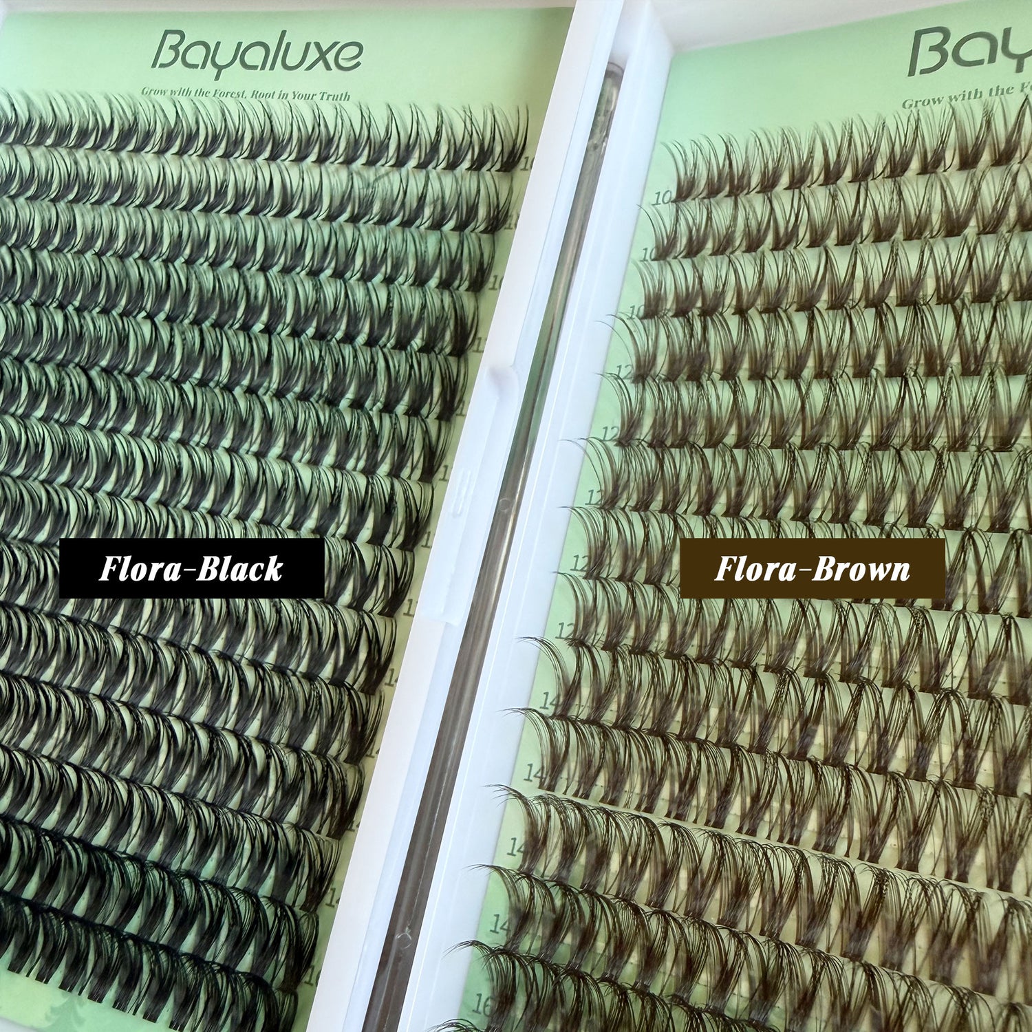 Flora Brown Lash Kit
