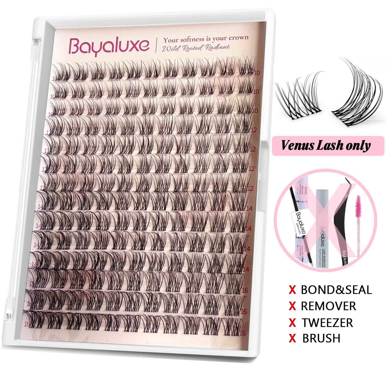 Venus Lash Only