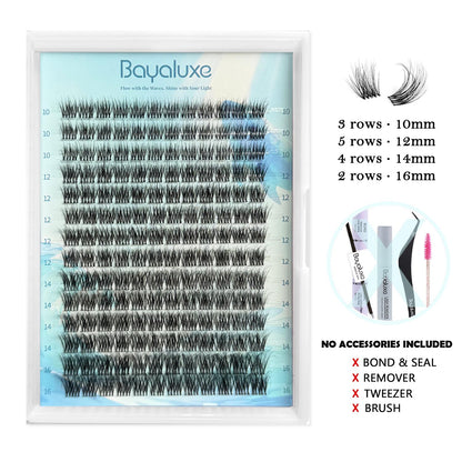 BORN 3D ZURI Lash Only