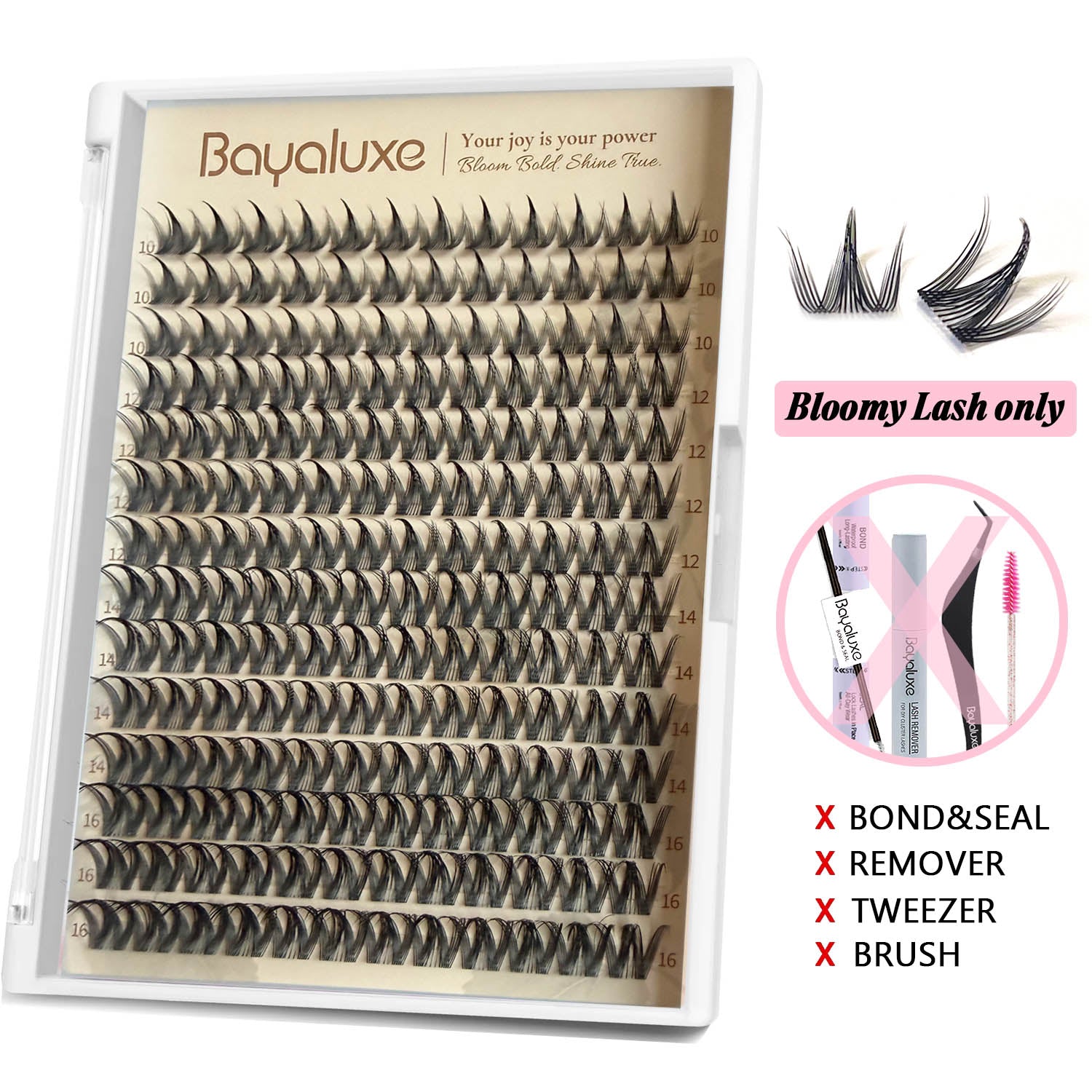 Bloomy Lash Only