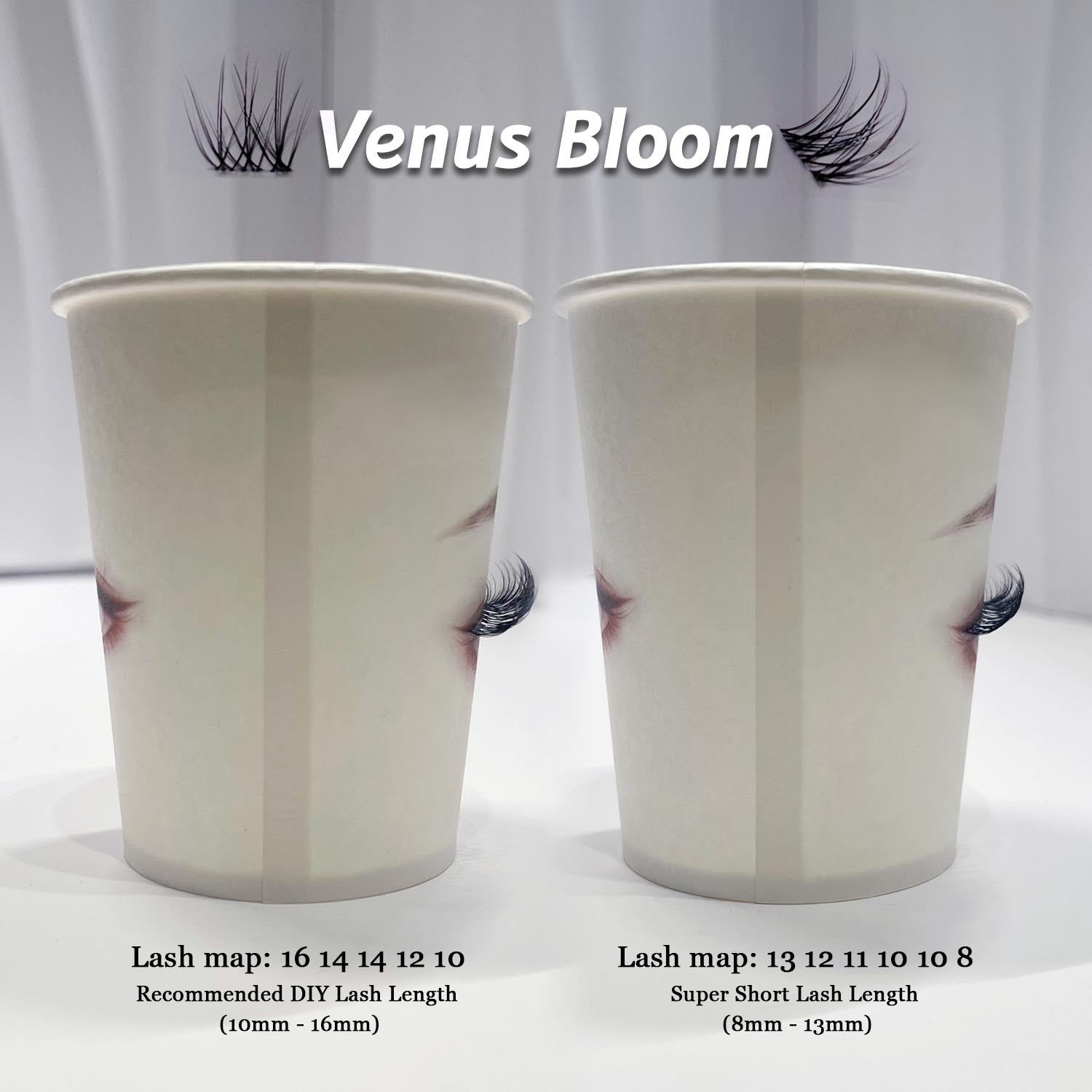 Venus Bloom Lash Kit