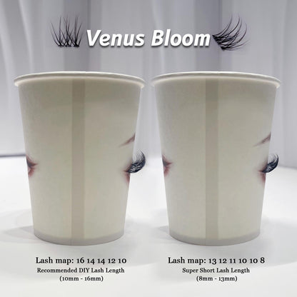 Venus Bloom Lash Kit