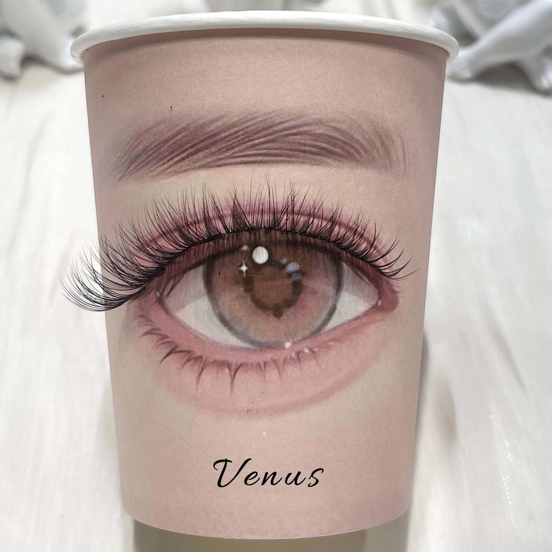 Venus Lash Kit