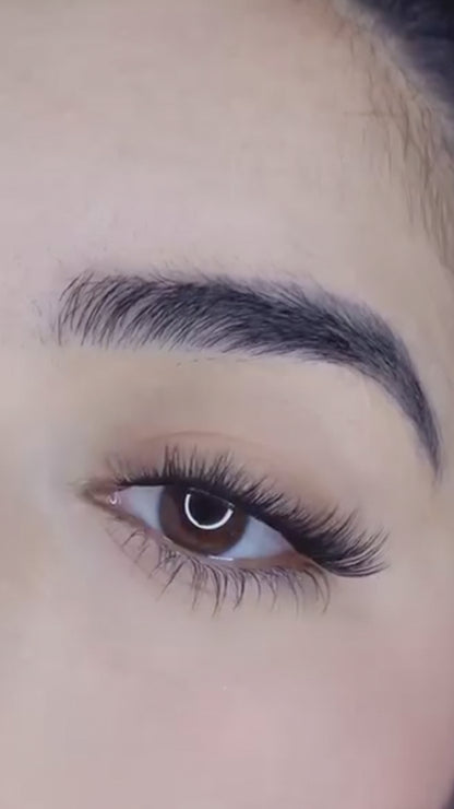 Dreamy Lash Only