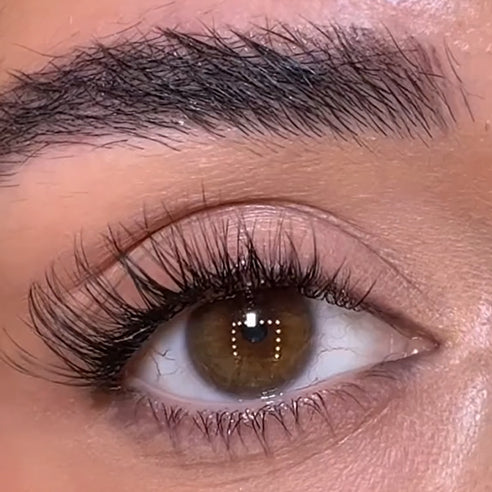 Venus Lash Kit