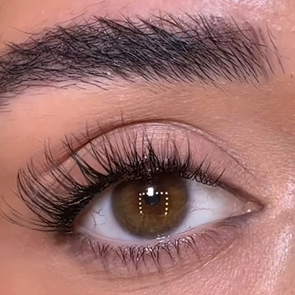 Venus Lash Kit