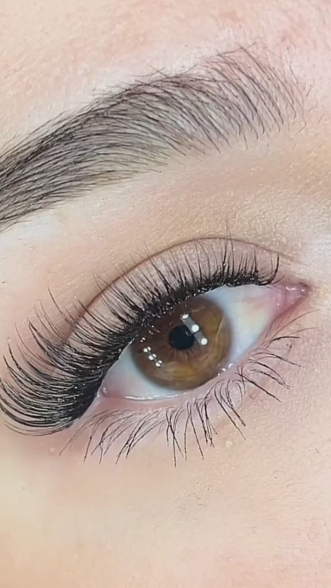 Dreamy Lash Only