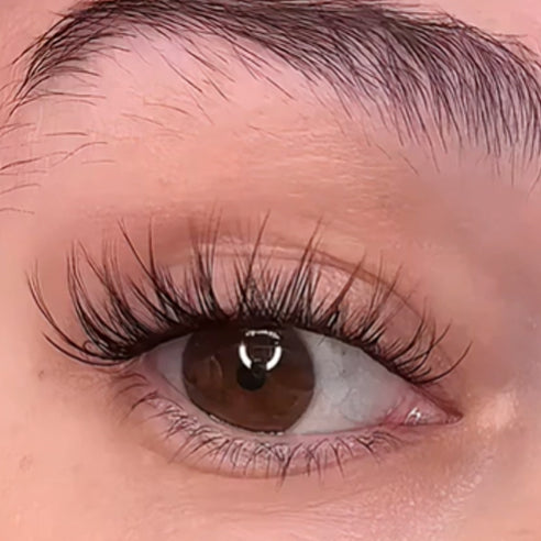 Secret Lash Kit