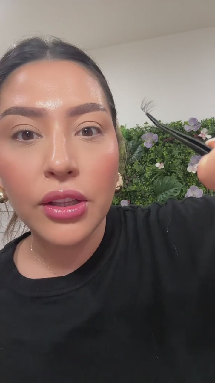 Venus Lash Kit