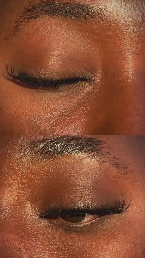 Venus Lash Only
