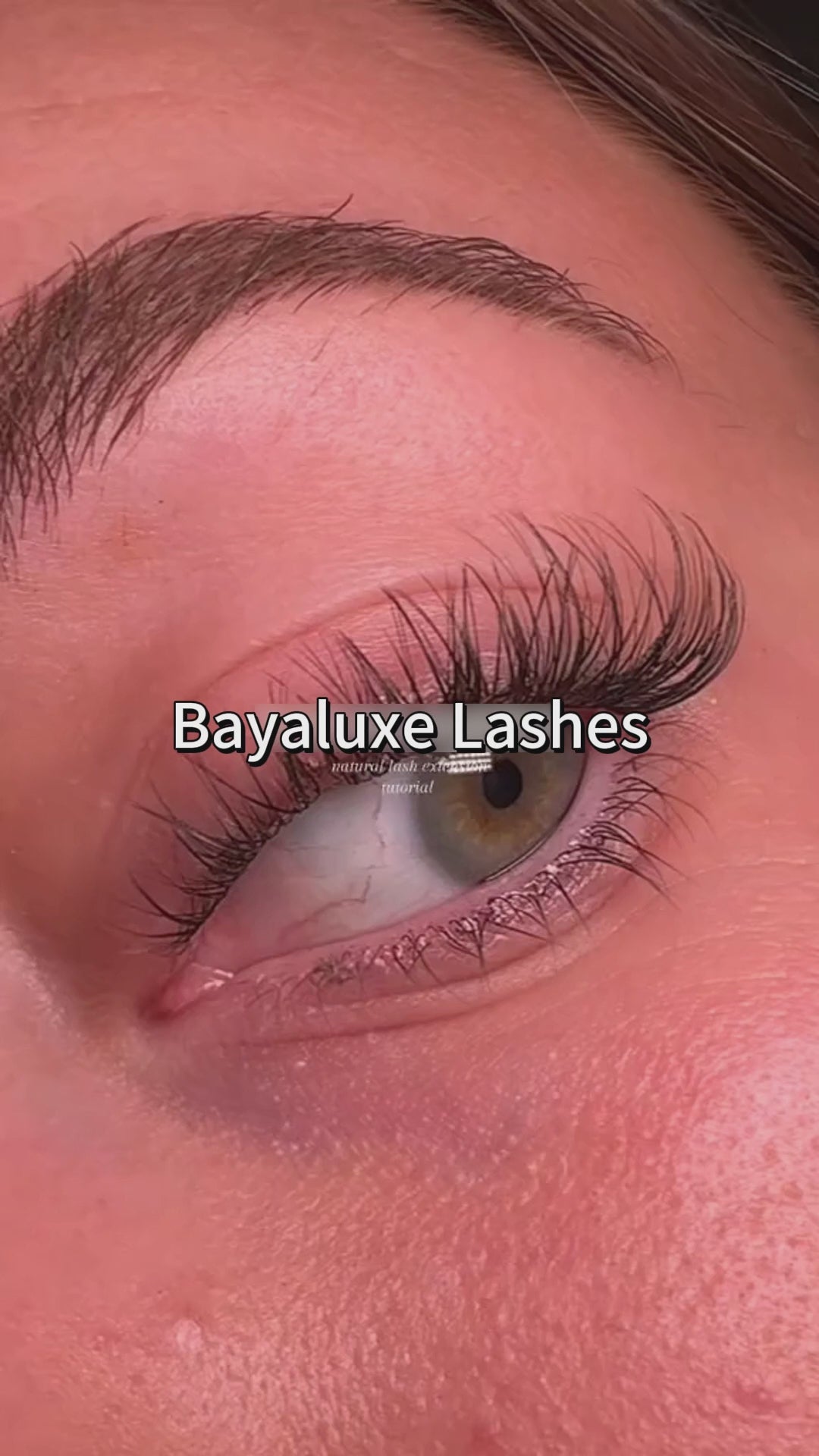 Venus Lash Only