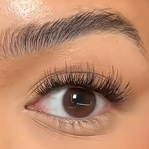 Dreamy Lash Kit